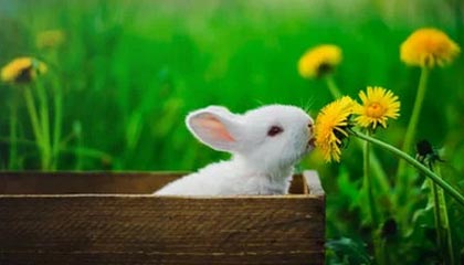 kaiyun.com-李磊：希望郭田雨尽快攻克语言关 在欧洲多踢几年